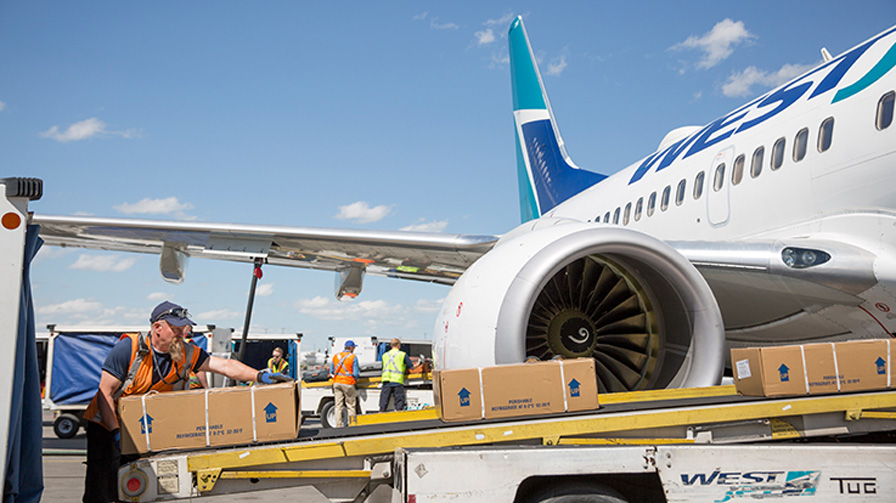 Westjet discount pet cargo