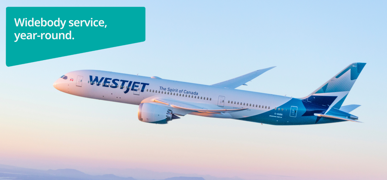 Widebody Network Aircraft