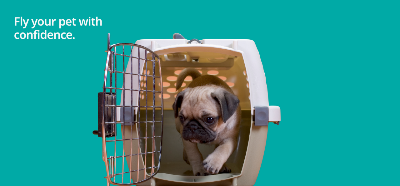 Pet Air