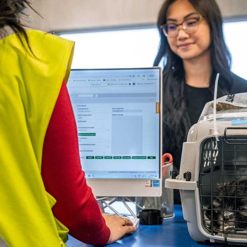 Client dropping of pet at counter 