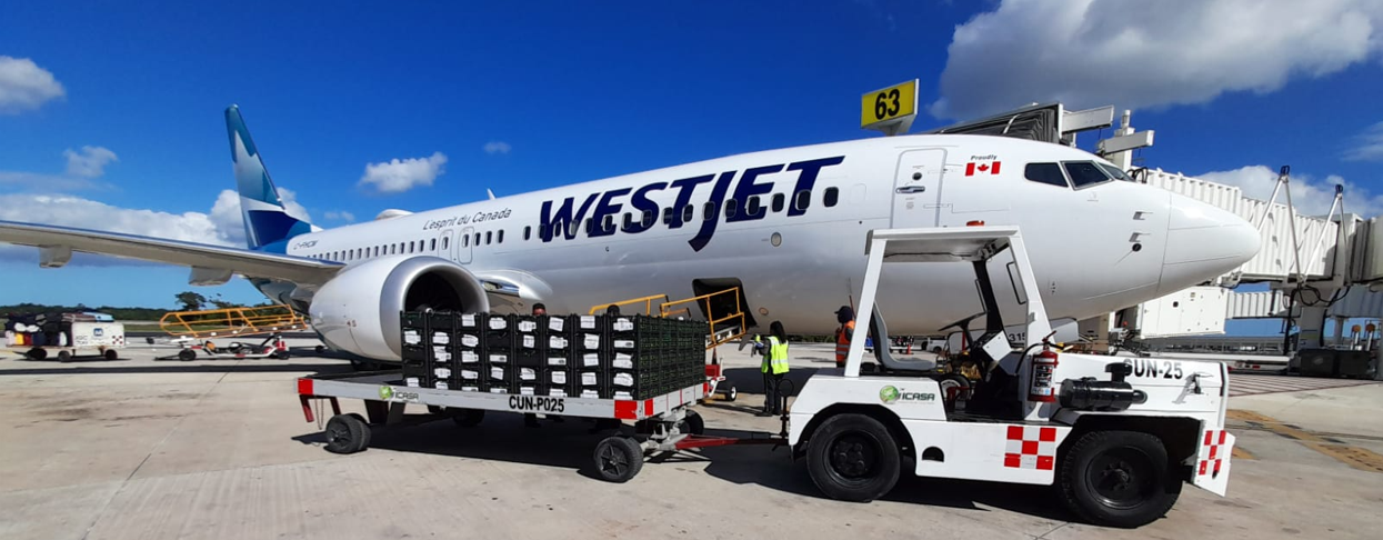 Global Sales Partners