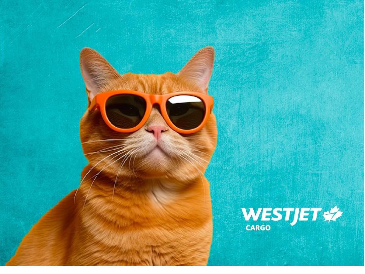 2024-pet-hairless-breed